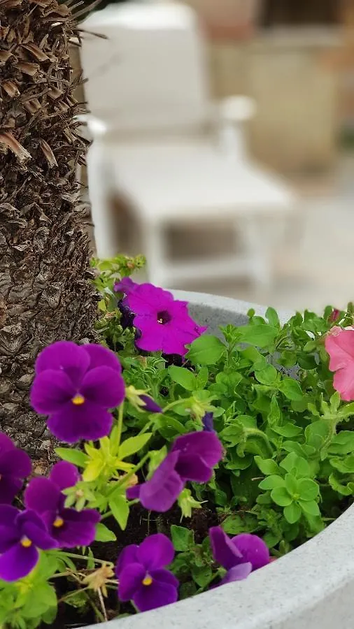 Casa Vacanze Rosa Camastra